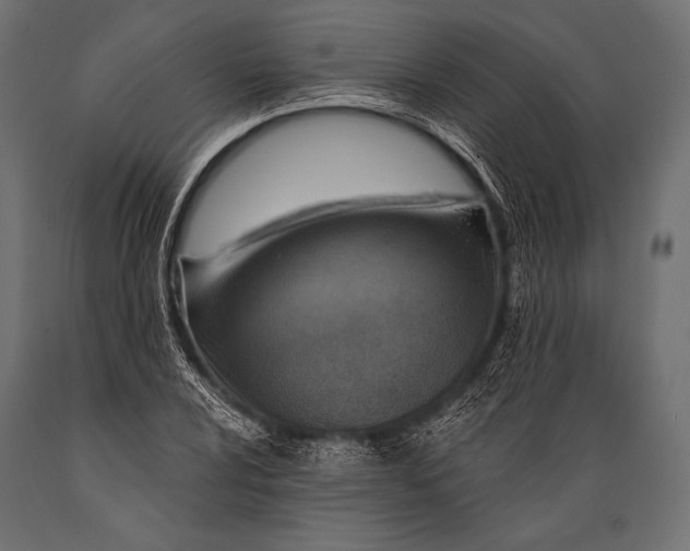 X0000088871024200706291535