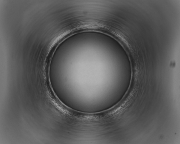 X0000088871026200706291535