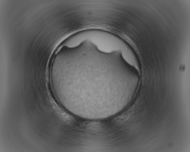 X0000088871028200706291535