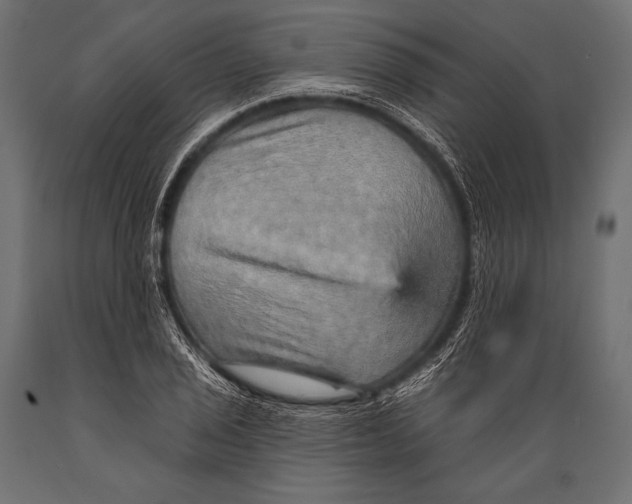 X0000088871029200706291536