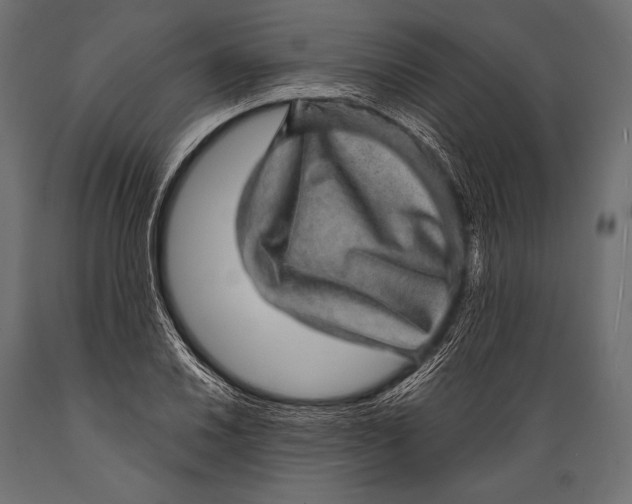X0000088871030200706291536