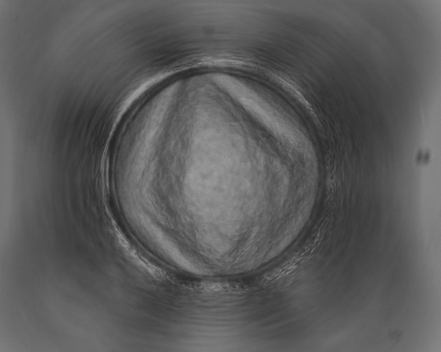 X0000088871032200706291536