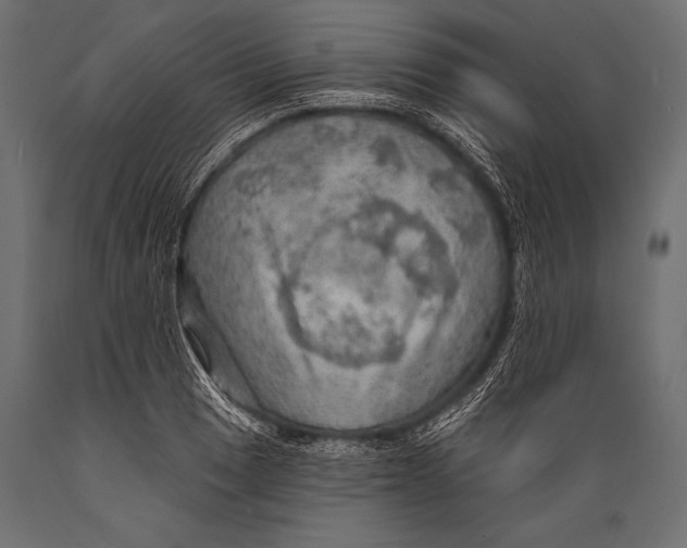 X0000088871033200706291536