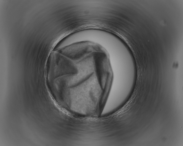 X0000088871034200706291536