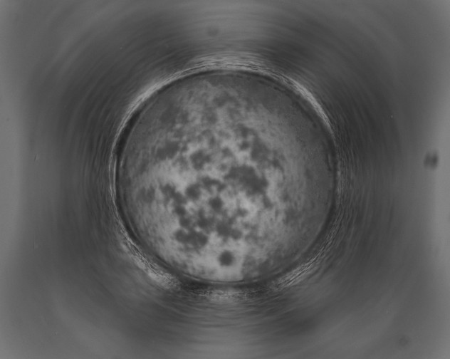 X0000088871035200706291536