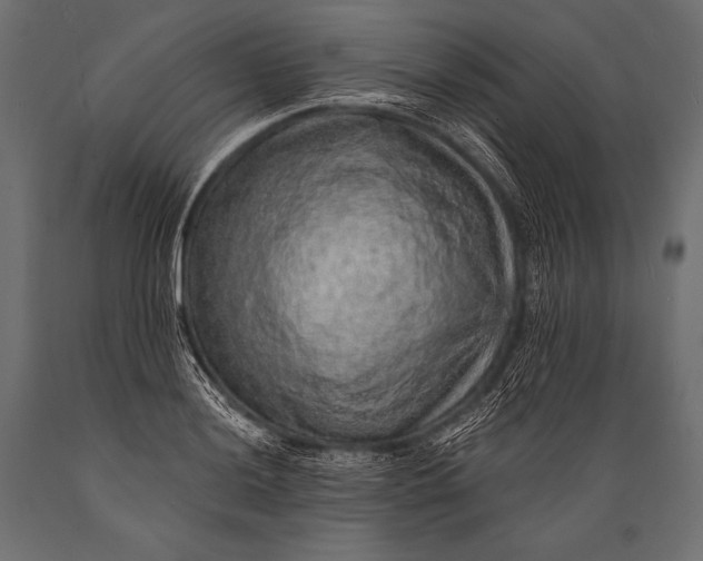 X0000088871036200706291536