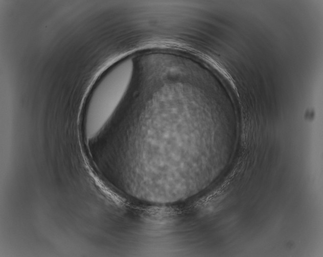 X0000088871037200706291536