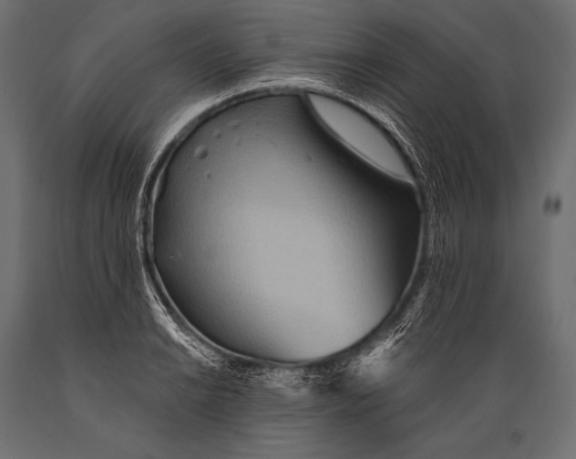 X0000088871038200706291536
