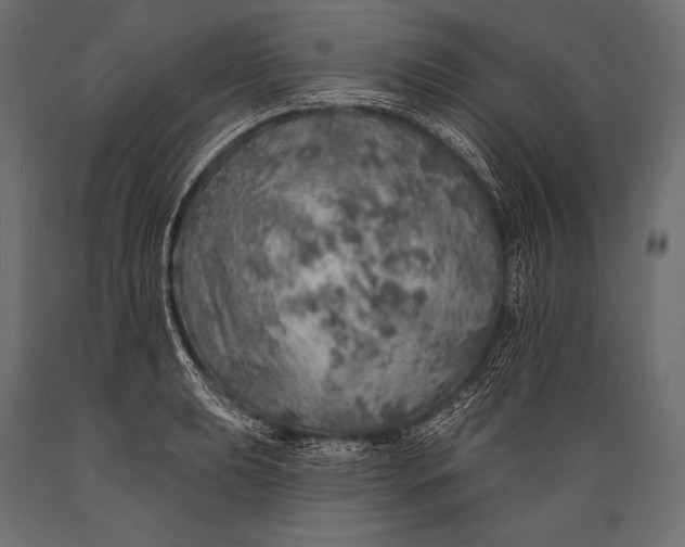 X0000088871039200706291536