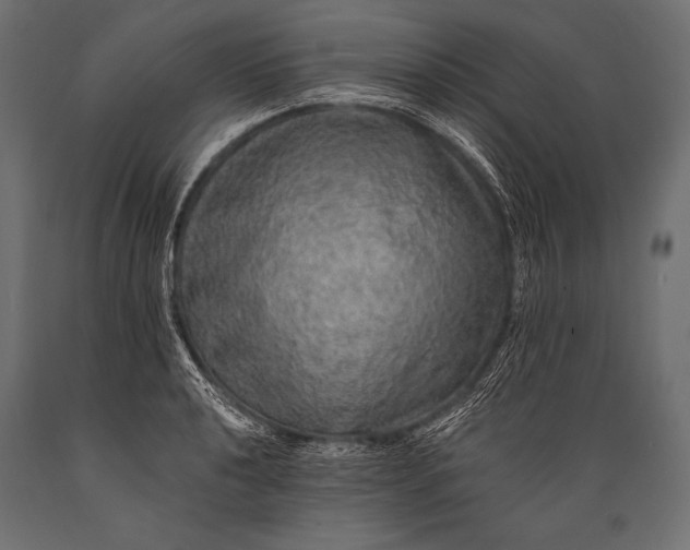 X0000088871040200706291536