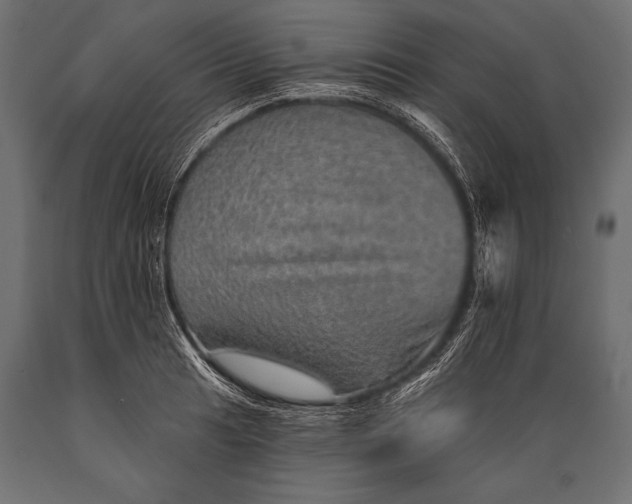 X0000088871041200706291536