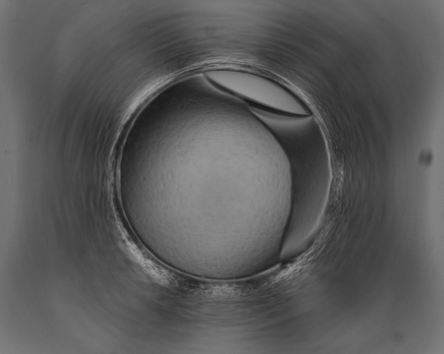 X0000088871042200706291536
