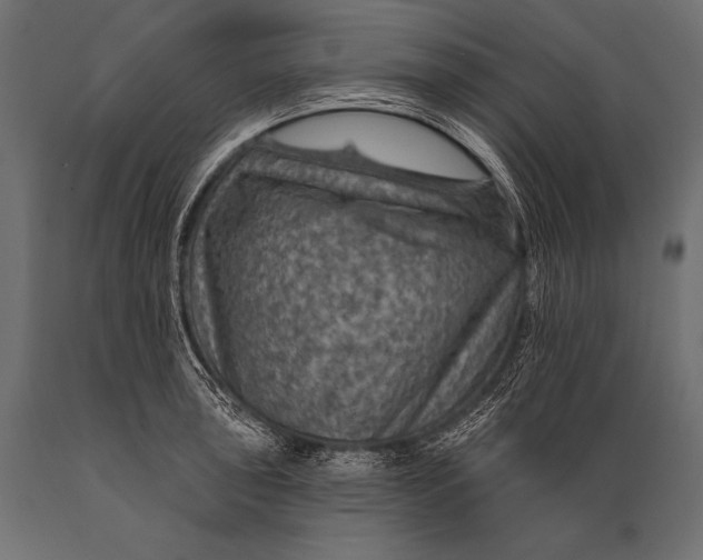 X0000088871043200706291536
