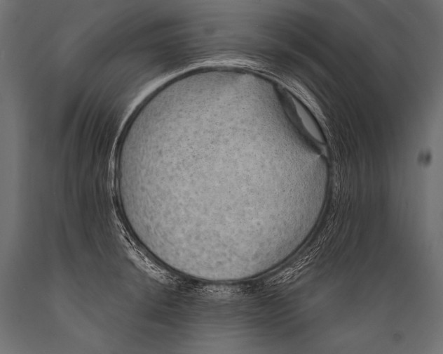X0000088871044200706291536