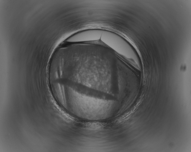 X0000088871045200706291536