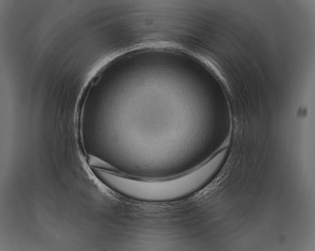 X0000088871046200706291536