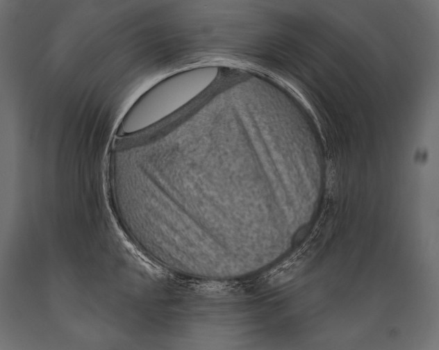 X0000088871048200706291536
