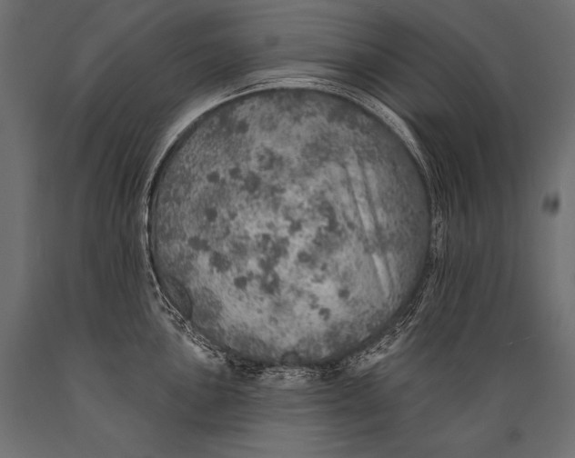 X0000088871051200706291536