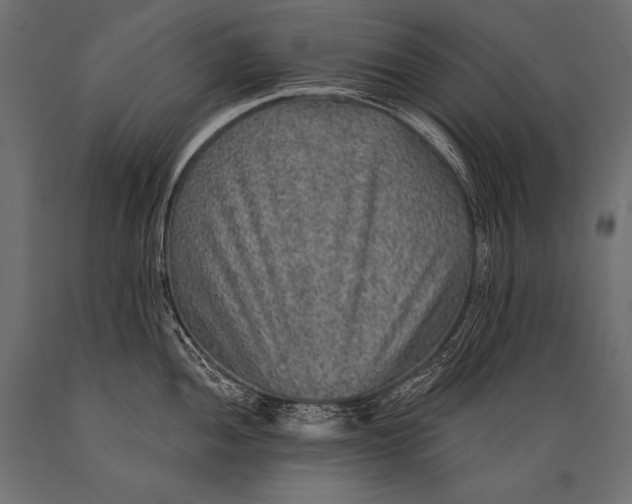 X0000088871052200706291536