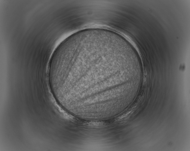 X0000088871053200706291536