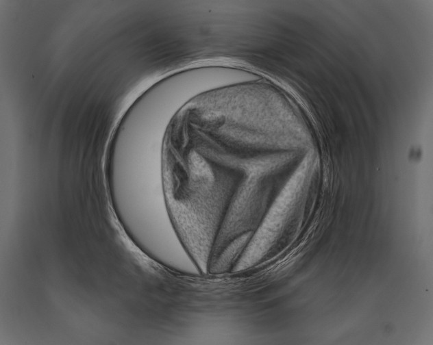 X0000088871054200706291536