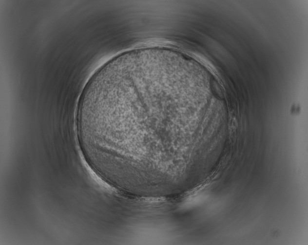 X0000088871055200706291536