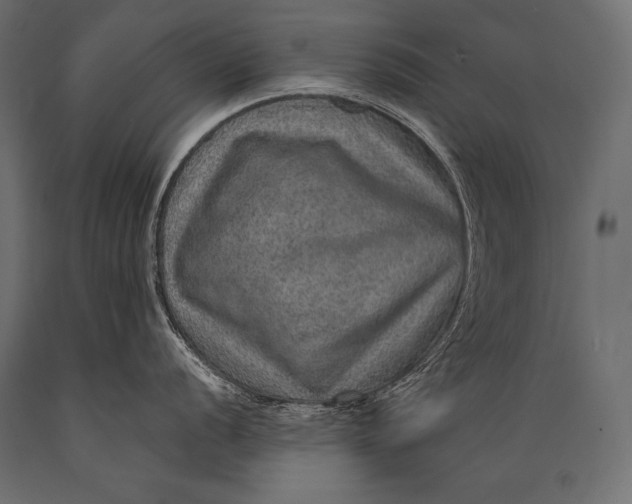X0000088871056200706291536