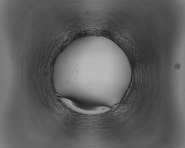 X0000088871057200706291535