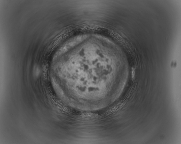 X0000088871059200706291535