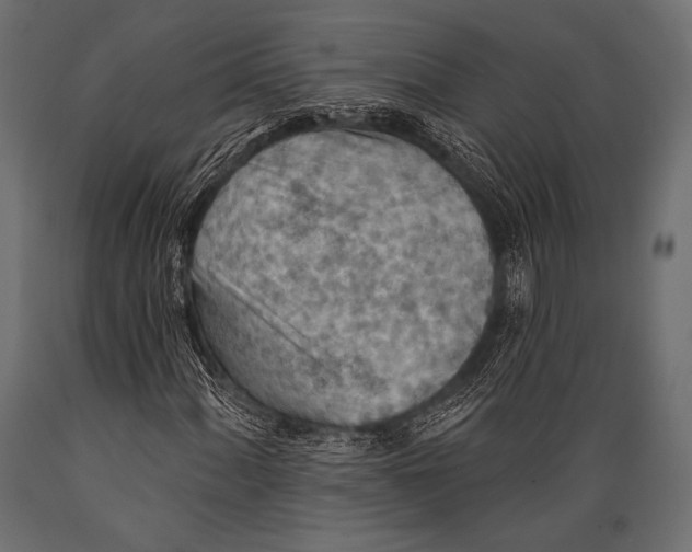 X0000088871060200706291535