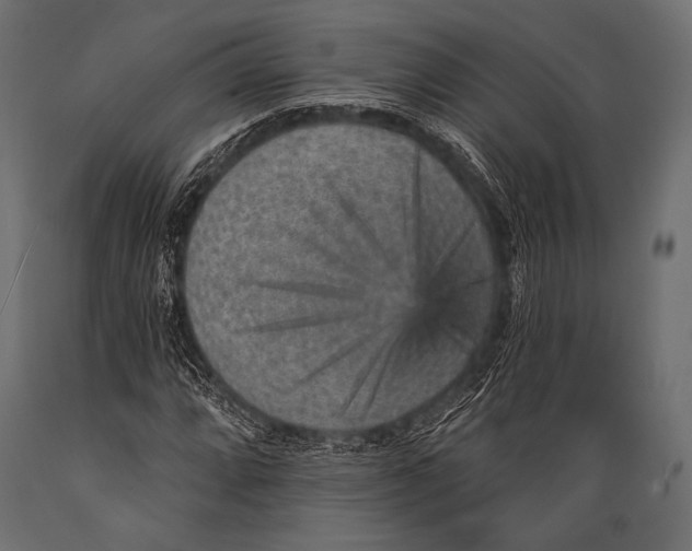 X0000088871064200706291535