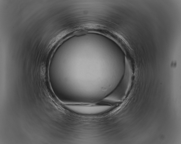 X0000088871065200706291535