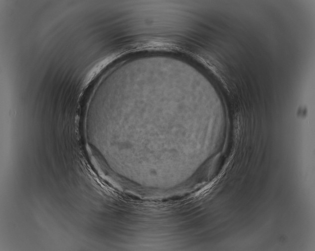 X0000088871066200706291535