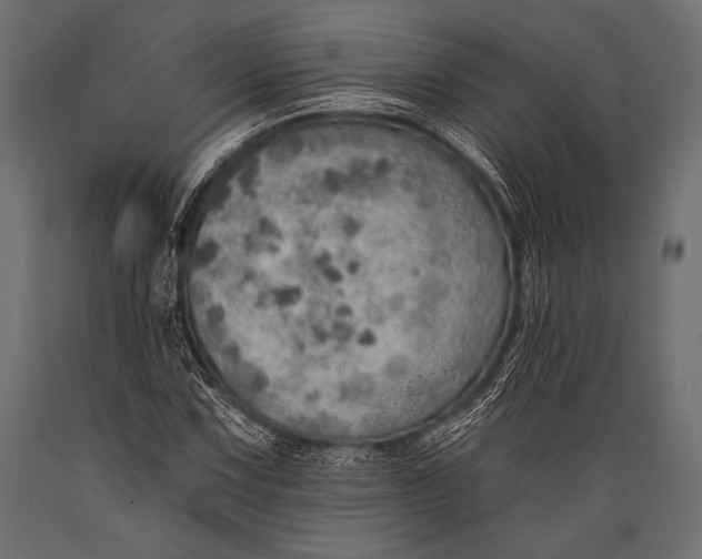 X0000088871067200706291535