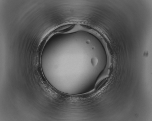 X0000088871069200706291535