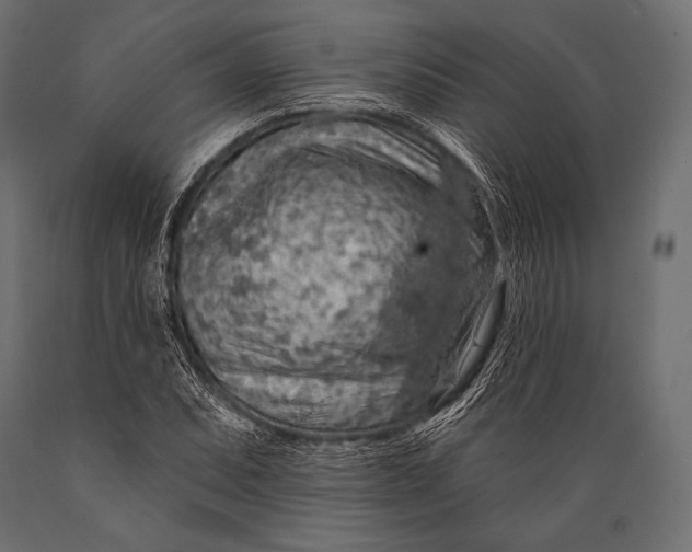 X0000088871071200706291535