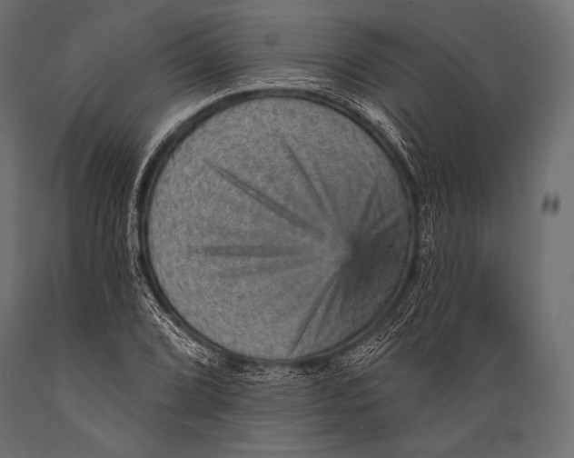 X0000088871072200706291535