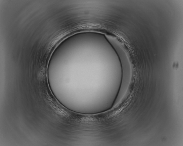 X0000088871073200706291535