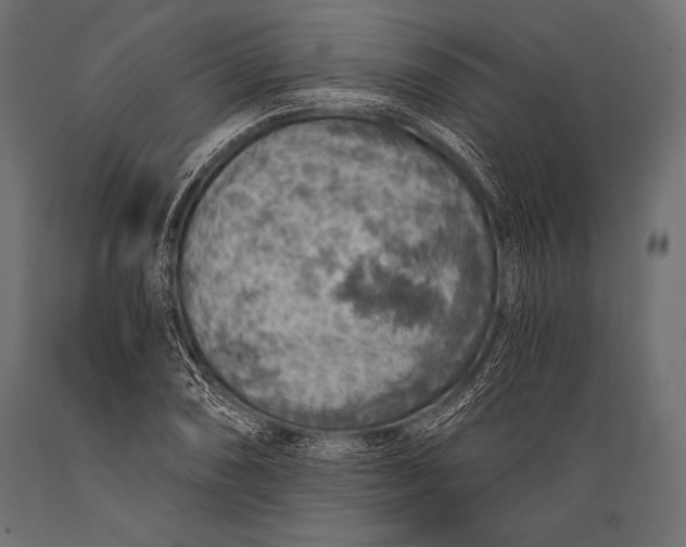X0000088871074200706291535