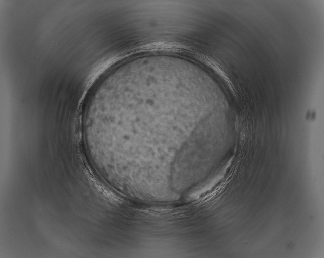 X0000088871075200706291535
