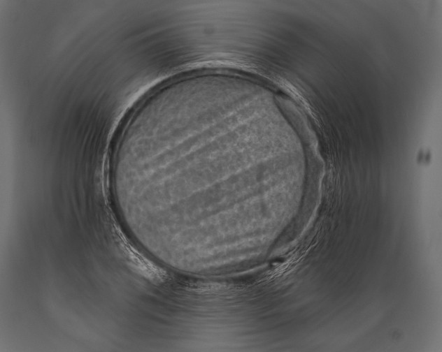 X0000088871076200706291535