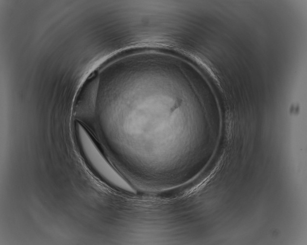 X0000088871077200706291535