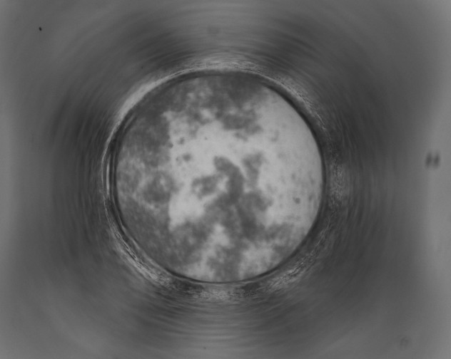 X0000088871078200706291535