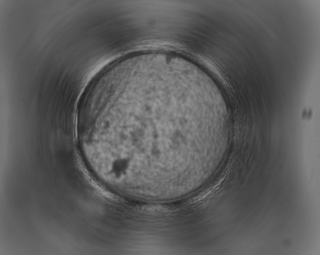 X0000088871079200706291535