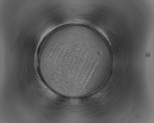 X0000088871080200706291535