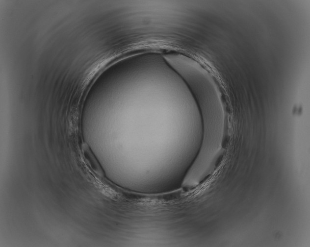 X0000088871081200706291535