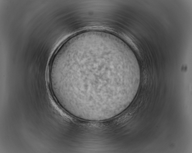 X0000088871084200706291535