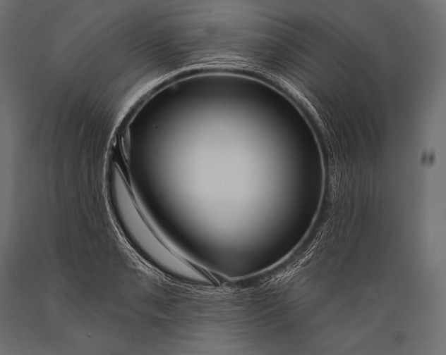 X0000088871085200706291535
