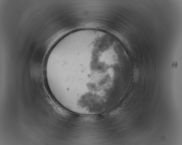 X0000088871086200706291535