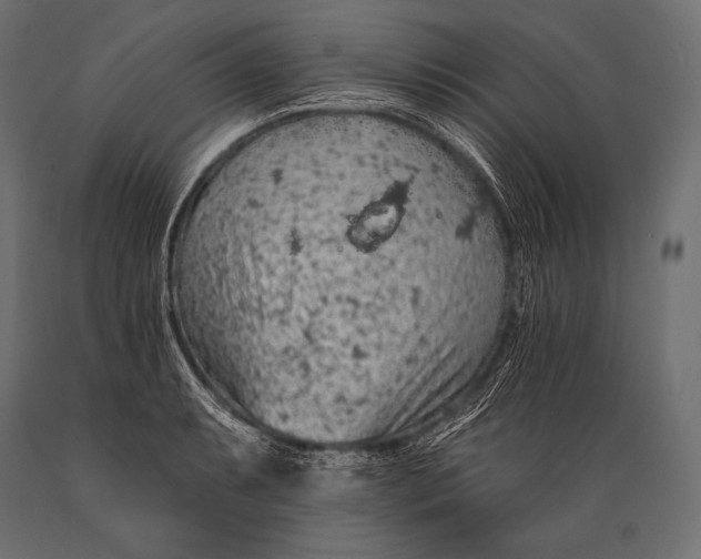 X0000088871087200706291535